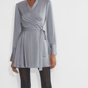 Aritizia Elegant Silver Women's Dress